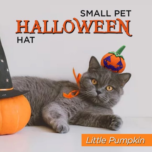 Small Pet Halloween Hat ~ "Little Pumpkin" 🎃 - Picture 1 of 5